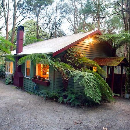 Cottage In The Forest Olinda Rum bild