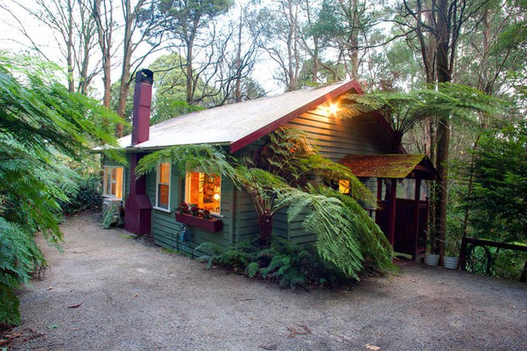Cottage In The Forest Olinda Rum bild